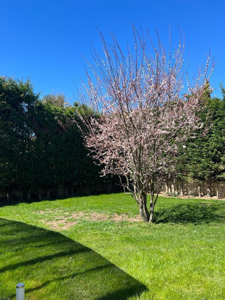 Villa Tomillares Los Tomillares 외부 사진
